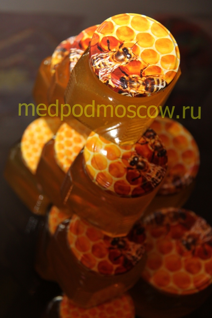 Мёд Подмосковья